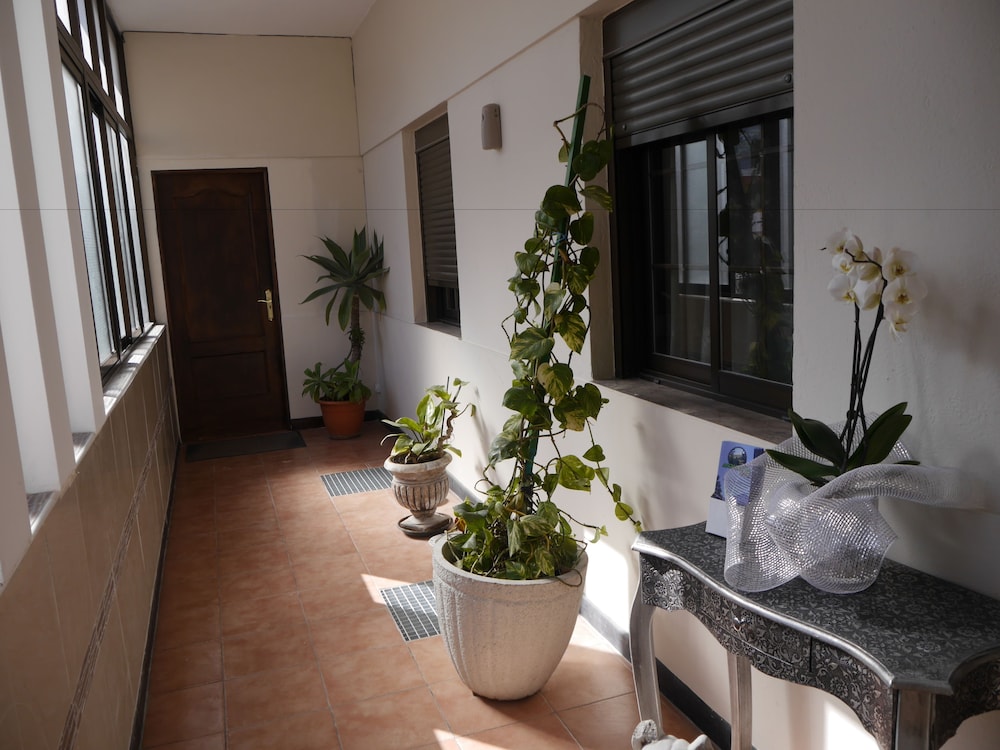 Drago Nest Hostel 33/50