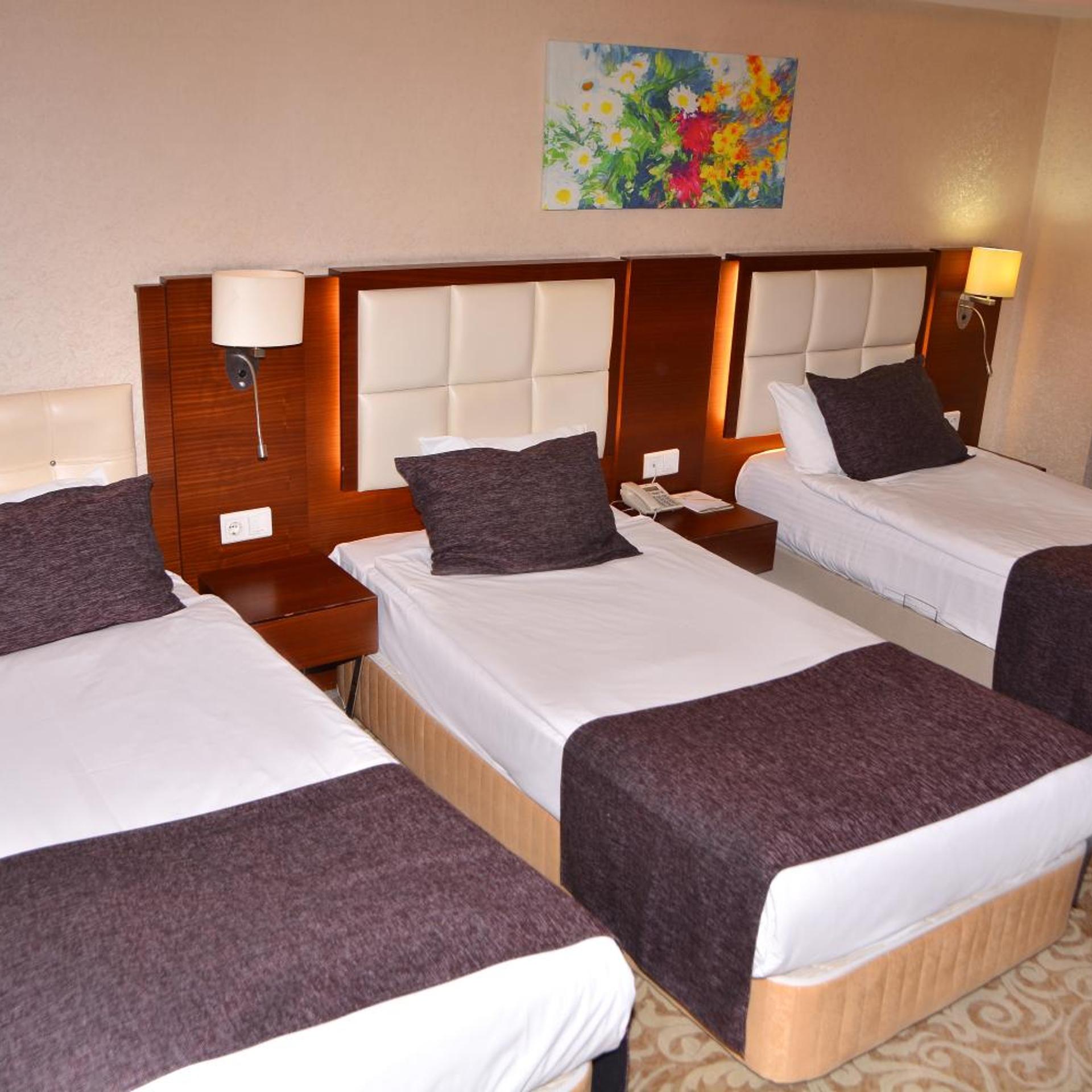 غرفة ثلاثية، ASRIN BUSINESS HOTEL 3/10