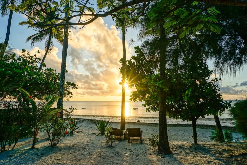 Indigo Beach Zanzibar 65/75