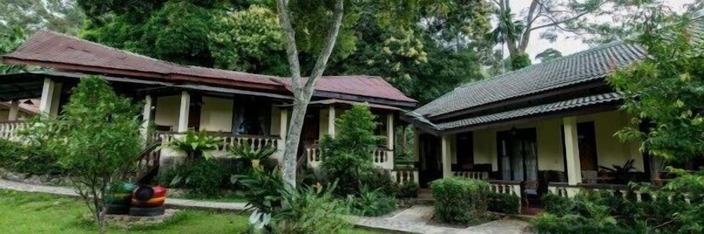 Ecolodge Bukit Lawang 6/58