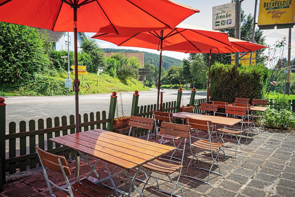 Gasthof Pension Zur Traube 15/30