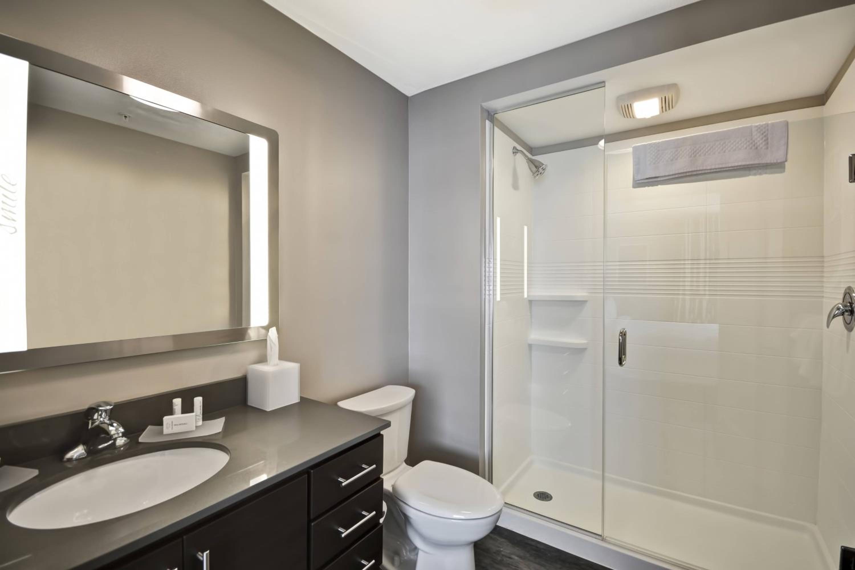 استوديو بسرير كينج مع أريكة بحوض استحمام لذوي الإعاقة، TOWNEPLACE SUITES CRANBURY SOUTH BRUNSWICK 5/8