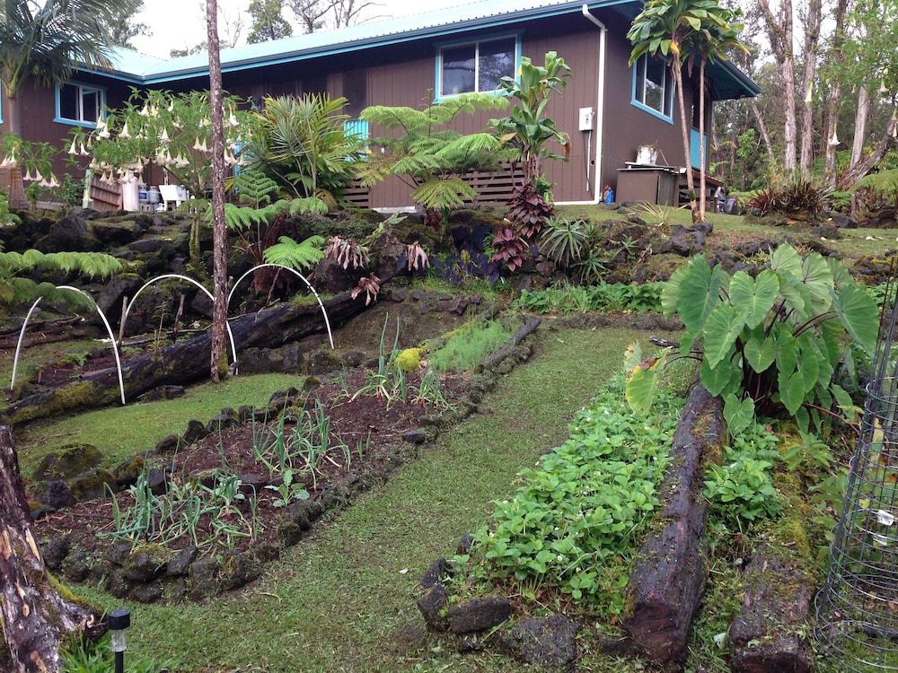 Ixchel Hawaii 29/48