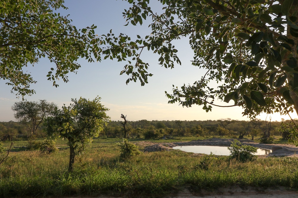 Baobab Ridge Private Lodge 46/50