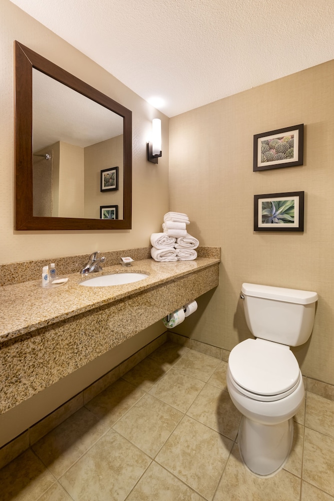 Comfort Suites Goodyear West Phoenix 17/33