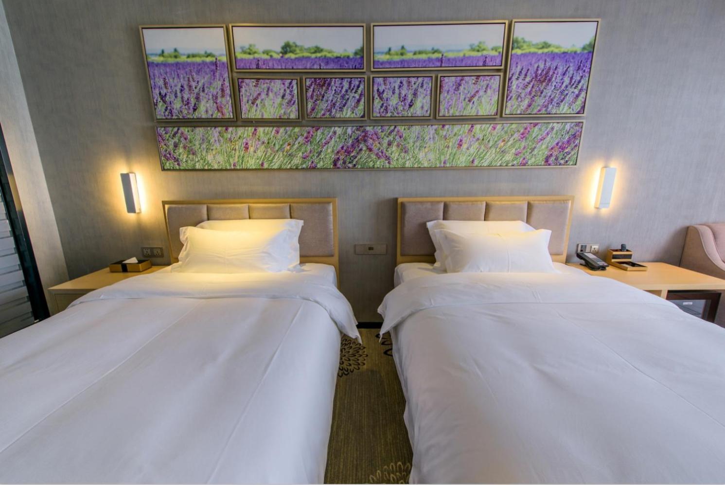 Lavande Hotel (Chengdu Shuangliu International Airport) 13/45