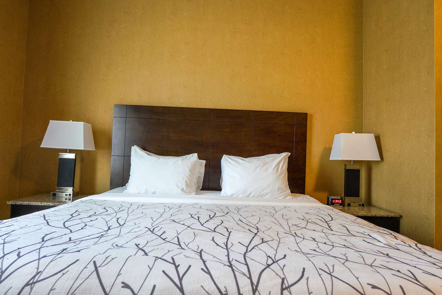 Best Western Plus South Edmonton Inn and Suites 5/32