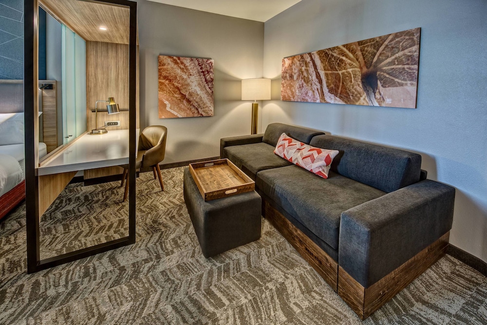 Springhill Suites By Marriott Amarillo 22/35
