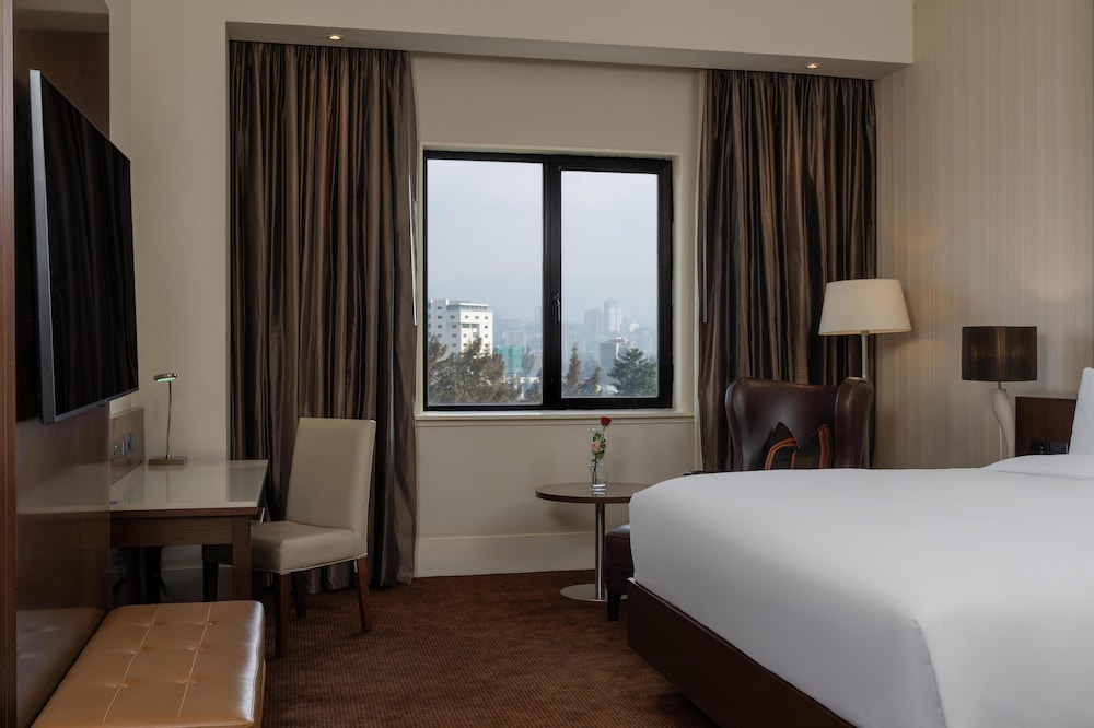 Radisson Blu Hotel, Addis Ababa 35/81