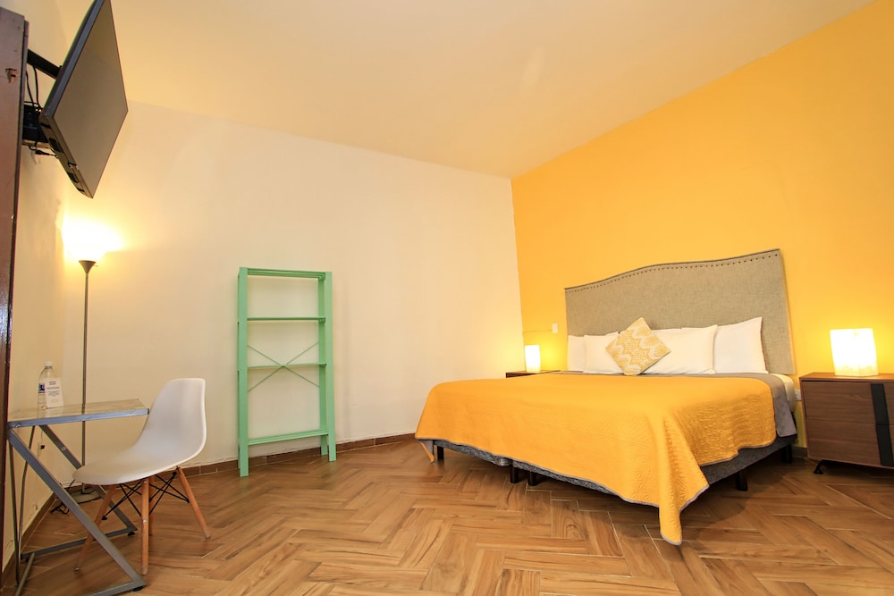 Hotel Universidad 12/50