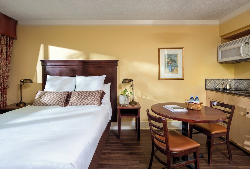 1 BEDROOM, STUDIO, SUITE