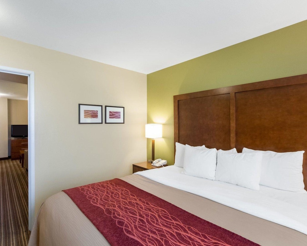 Comfort Inn & Suites Fayetteville-University Area 8/35