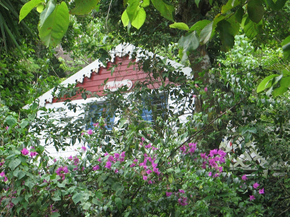 El Momo Cottages 27/38