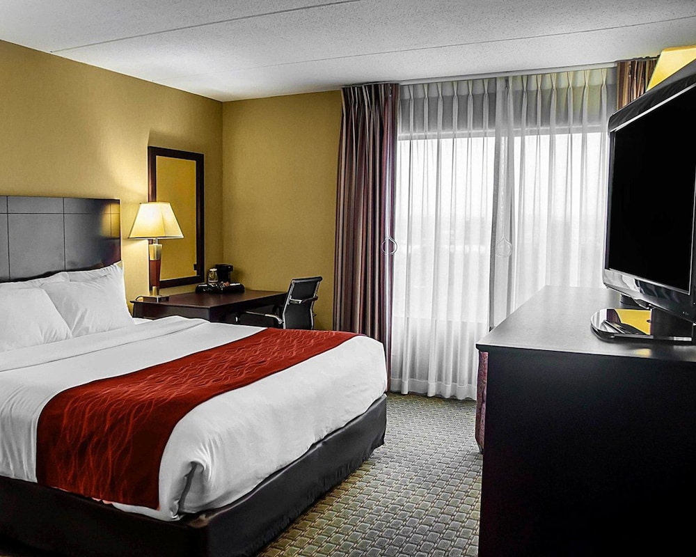 Comfort Inn & Suites Watertown - 1000 Islands 8/54