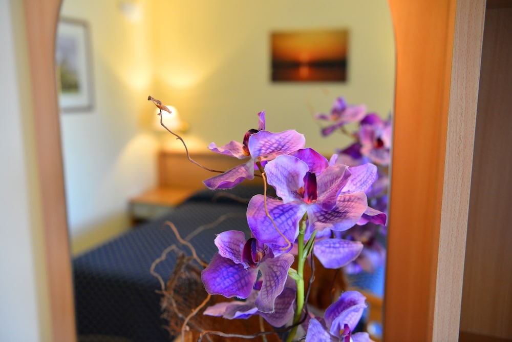 Hotel Lo Smeraldo 25/34