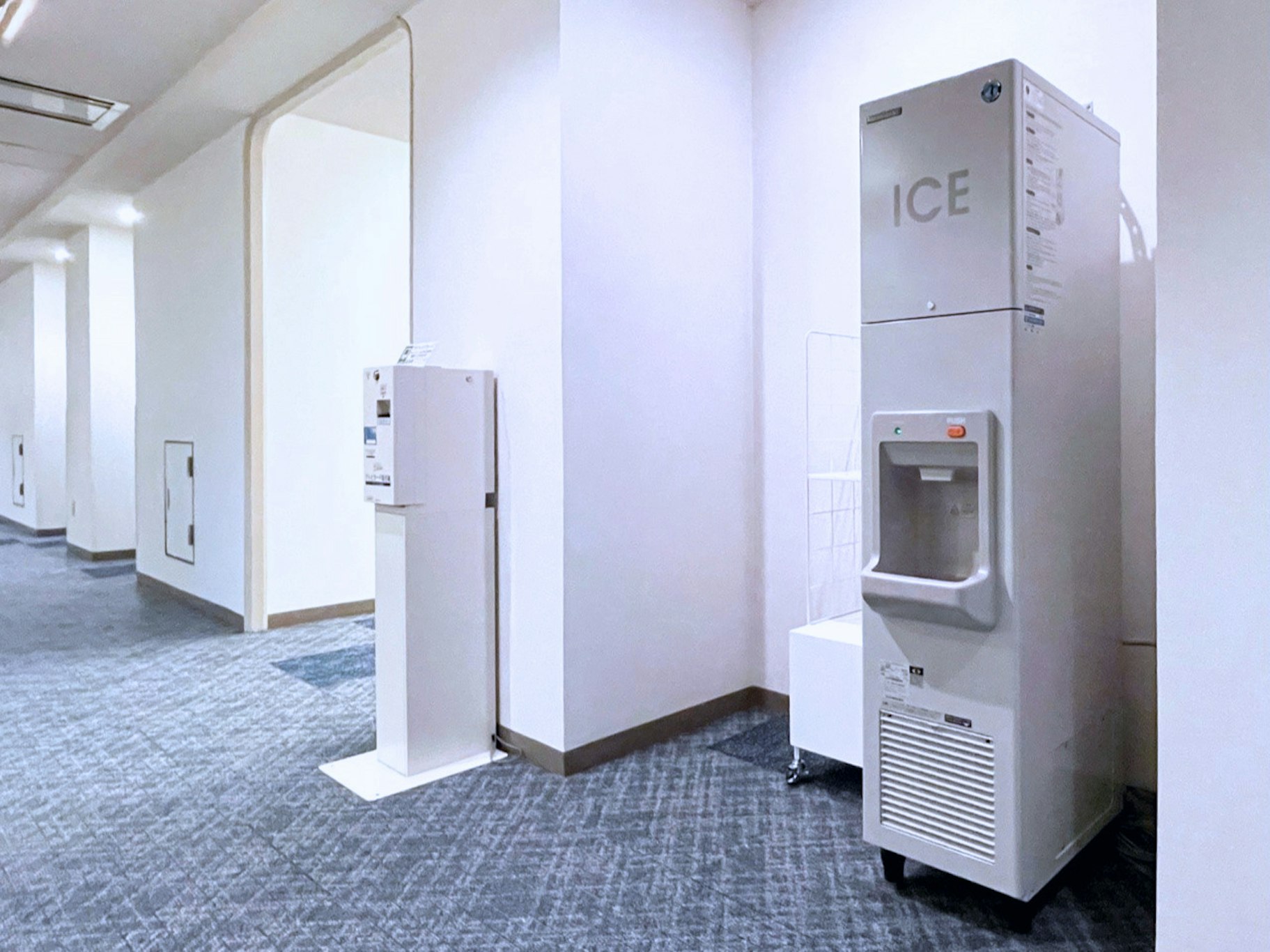 Chisun Hotel Kamata (ex Vista Kamata Tokyo) 27/31