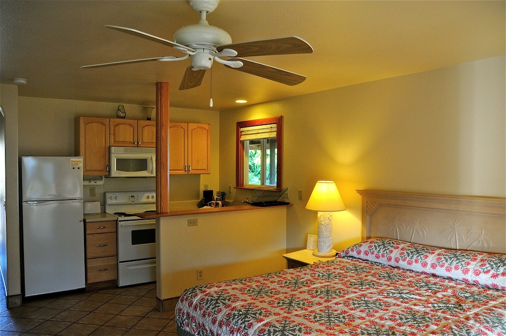 Standard, King Bed, Kitchen