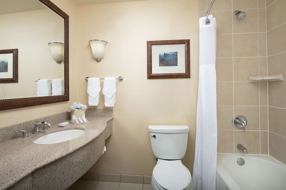 Hilton Garden Inn Yakima 14/49