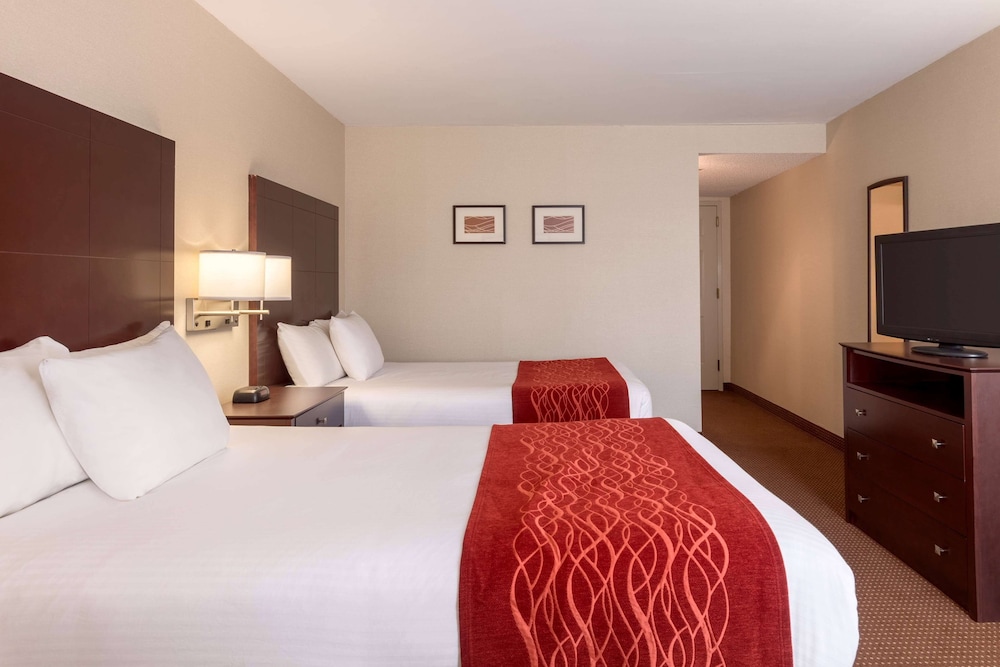 Wingate by Wyndham Williamsburg 13/49