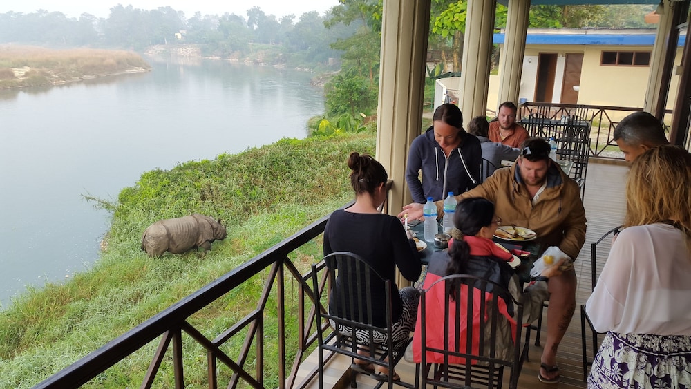 Jungle Wildlife Camp 23/41
