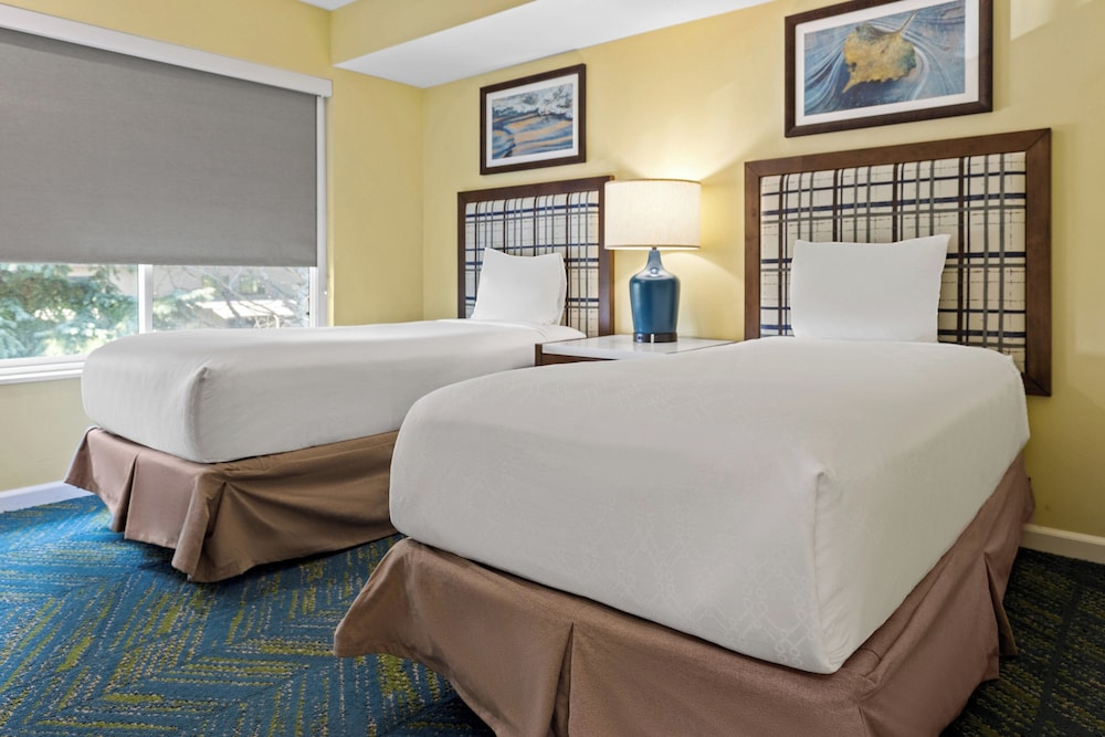 WorldMark Wolf Creek 15/50