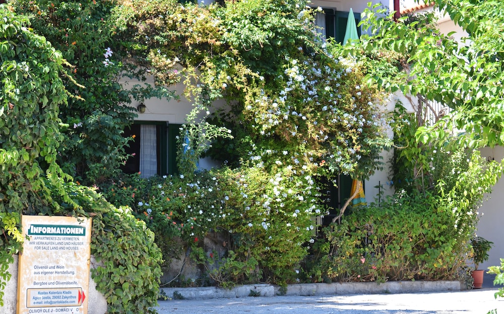 Lemonia Accommodations 46/50