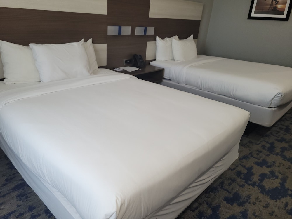Baymont by Wyndham Carlsbad NM 13/47