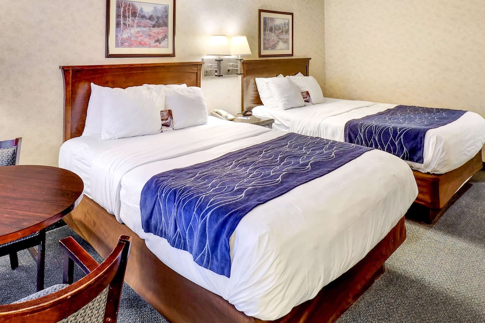 COMFORT INN(BELLINGHAM) 13/42