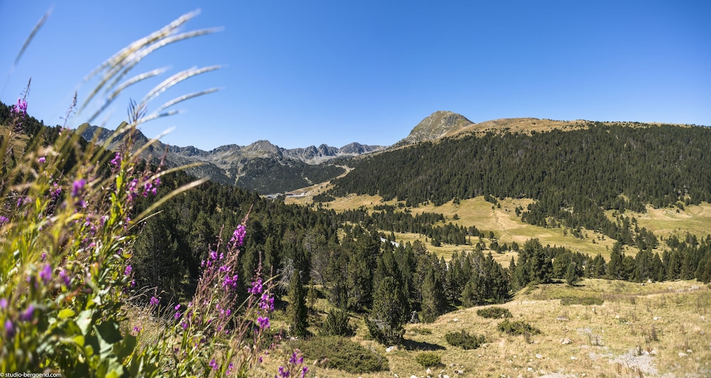 Pierre And Vacances Andorra Bordes Denvalira 33/50