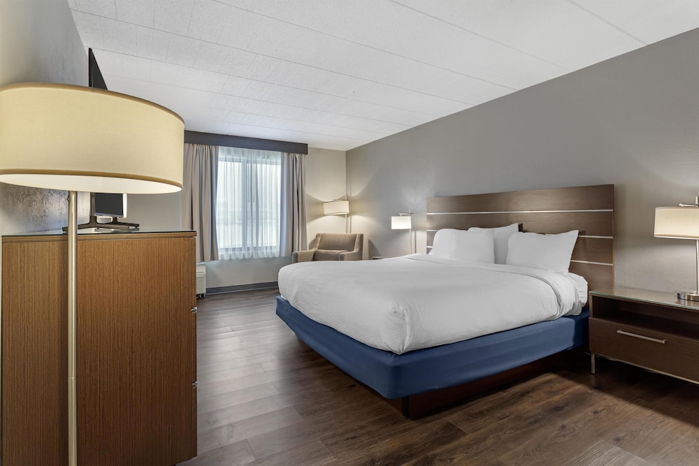 Standard, King Bed, Pet Friendly