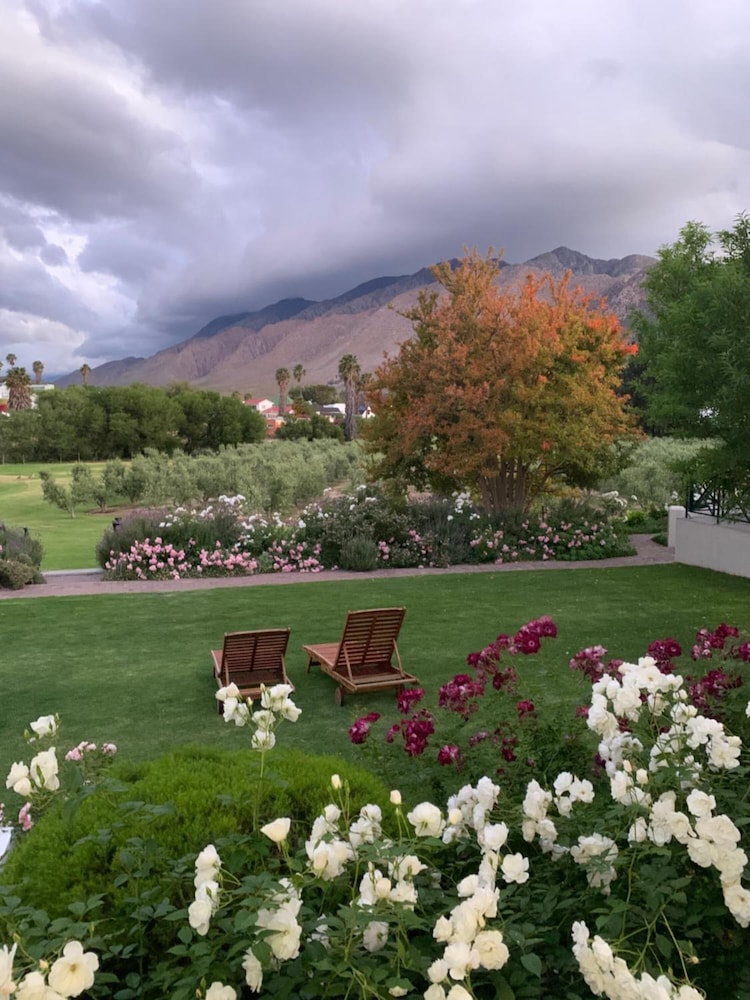 Montagu Vines Guest House 28/50