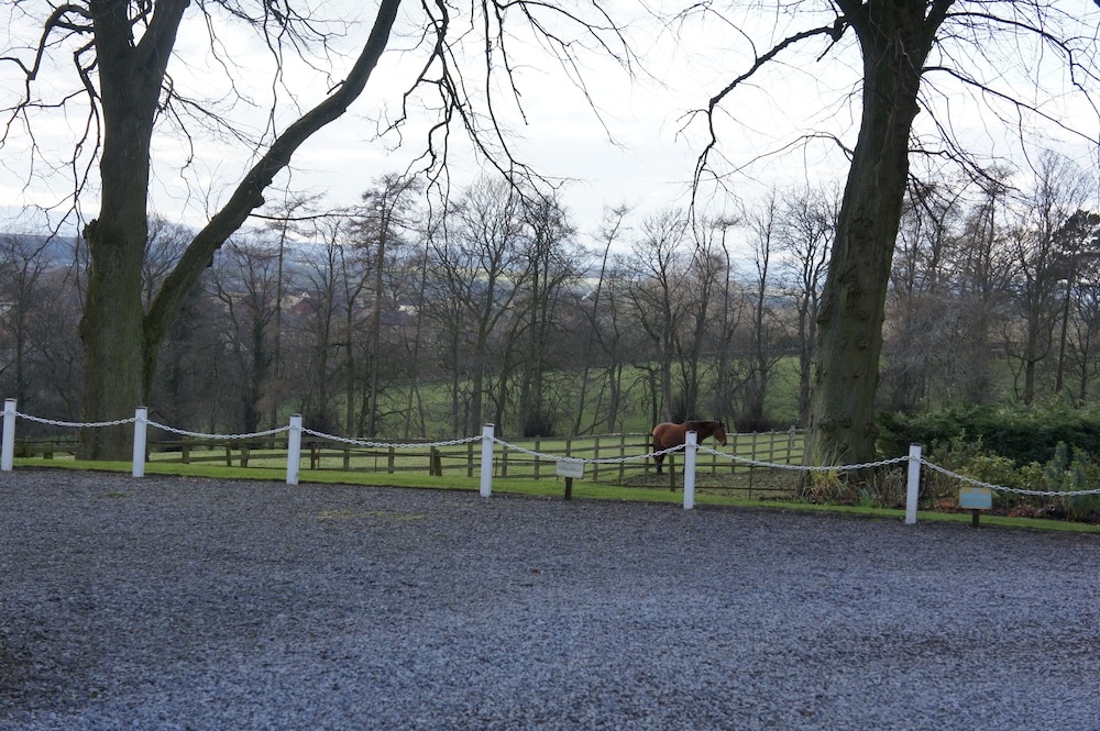 Appleby Manor Hotel & Garden Spa 46/50