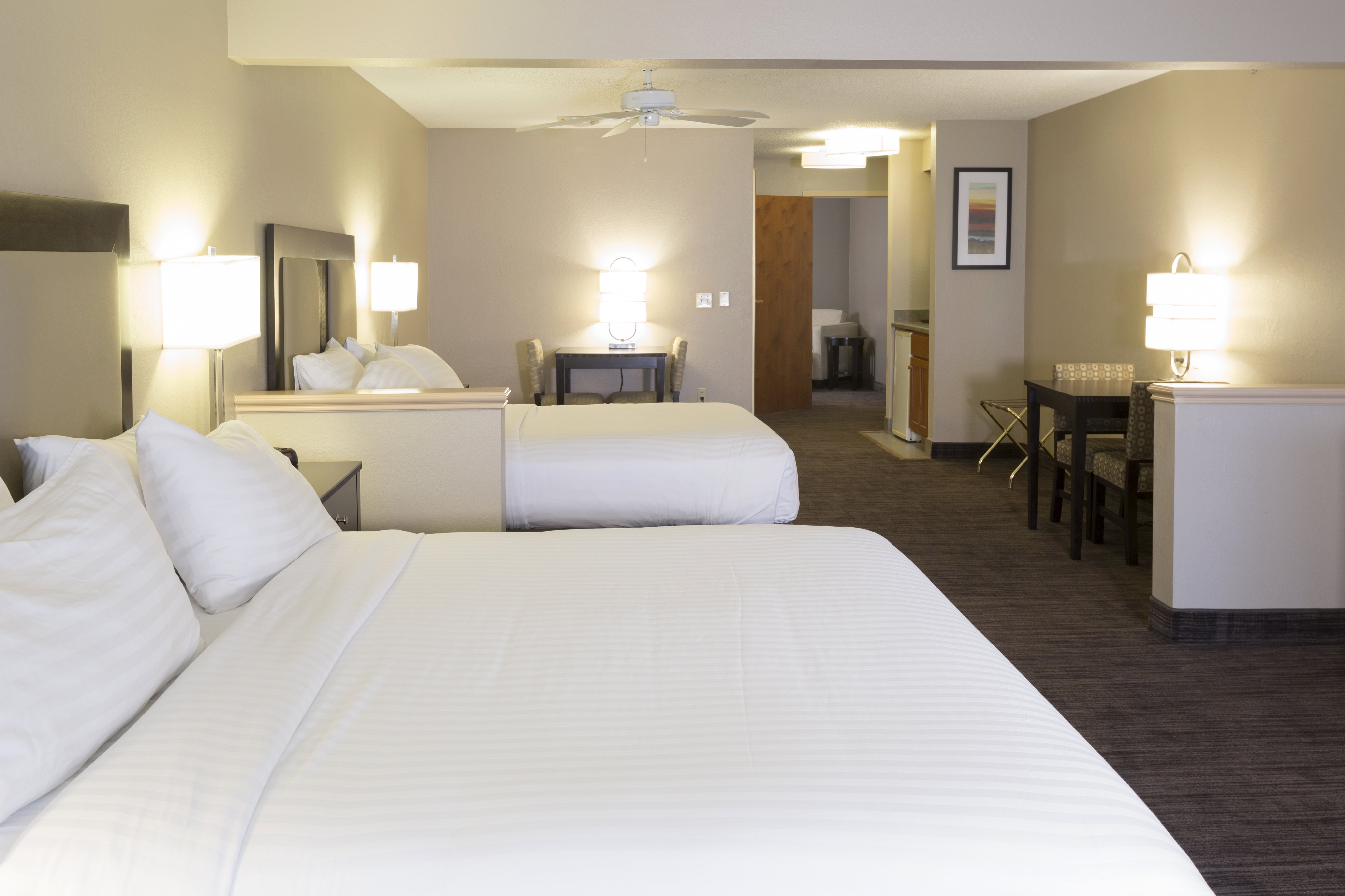 Holiday Inn Express Suites St Joseph 20/69