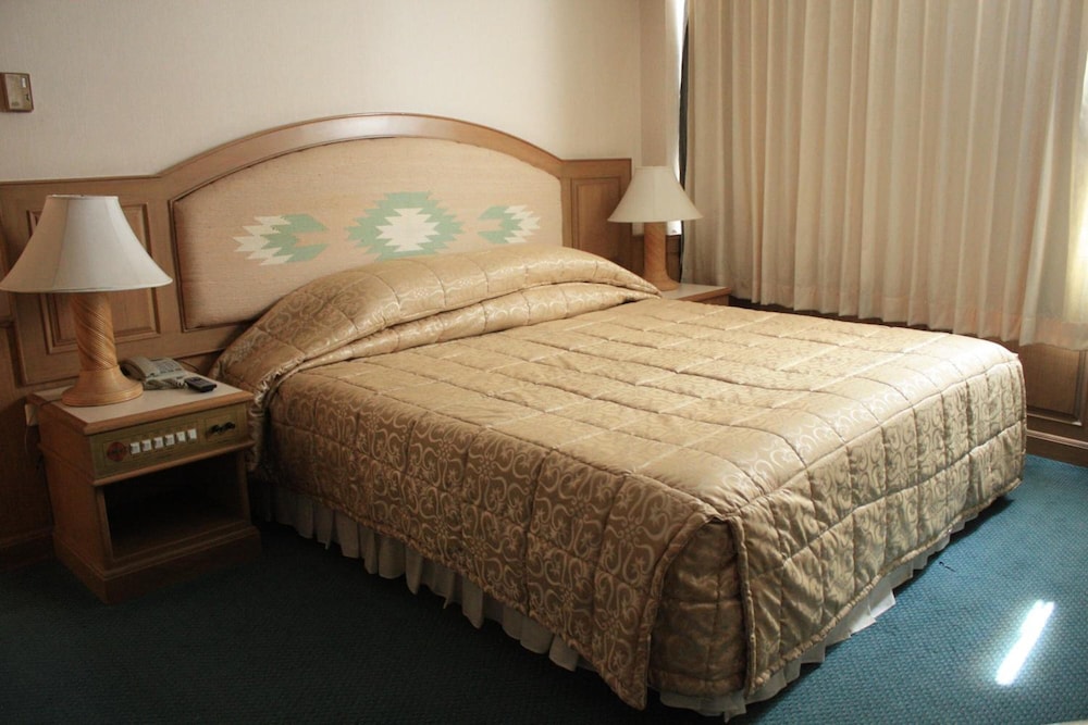Dhevaraj Hotel 24/62