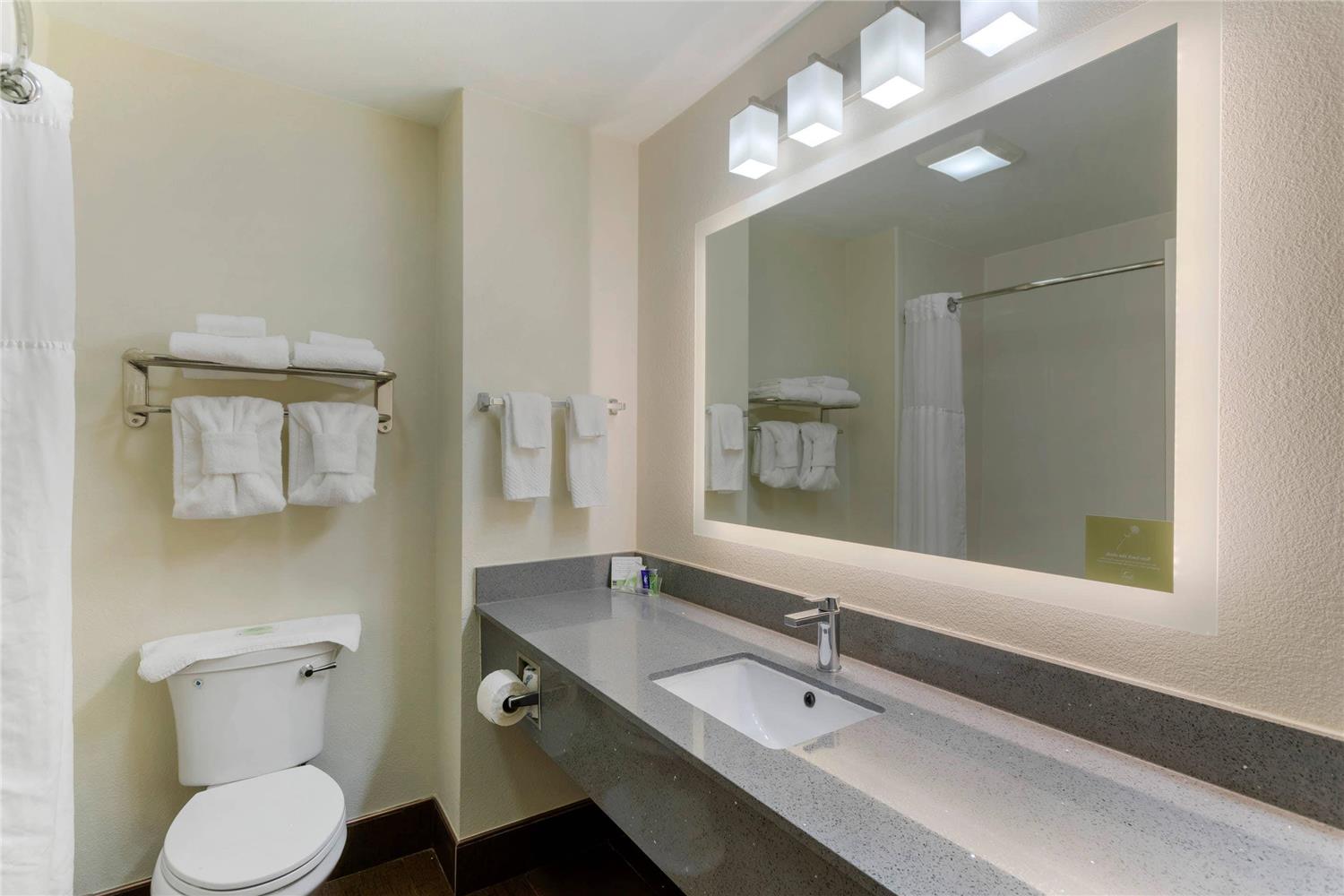 جناح بسرير كينج، Sleep Inn & Suites Smyrna - Nashville Area 3/3
