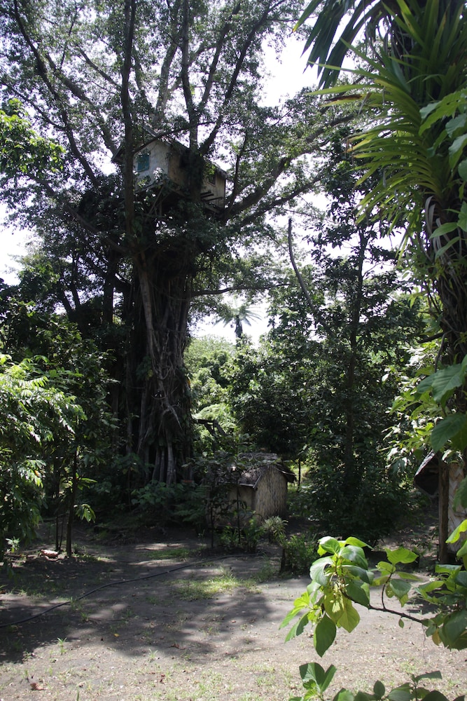 Tanna Lava View Bungalows 33/50