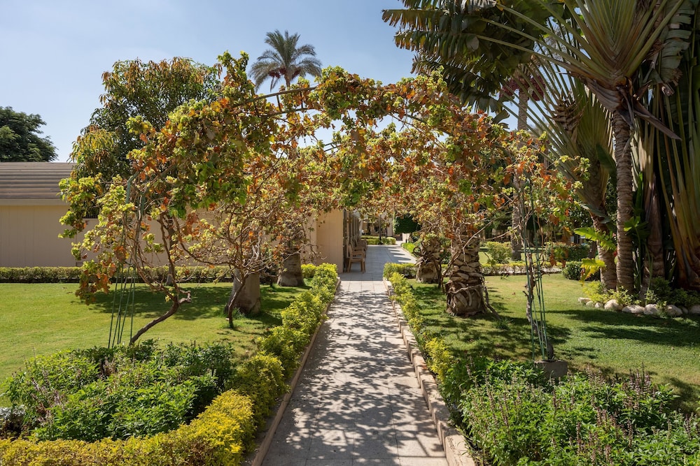 Jaz Pyramids Resort 45/50