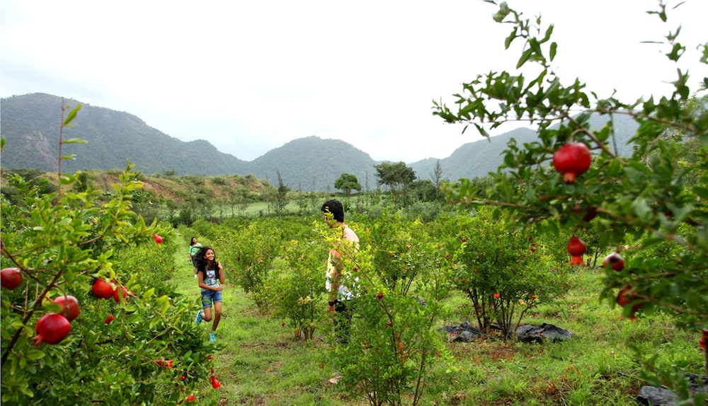 HARVEST FRESH FARM STAY 18/23