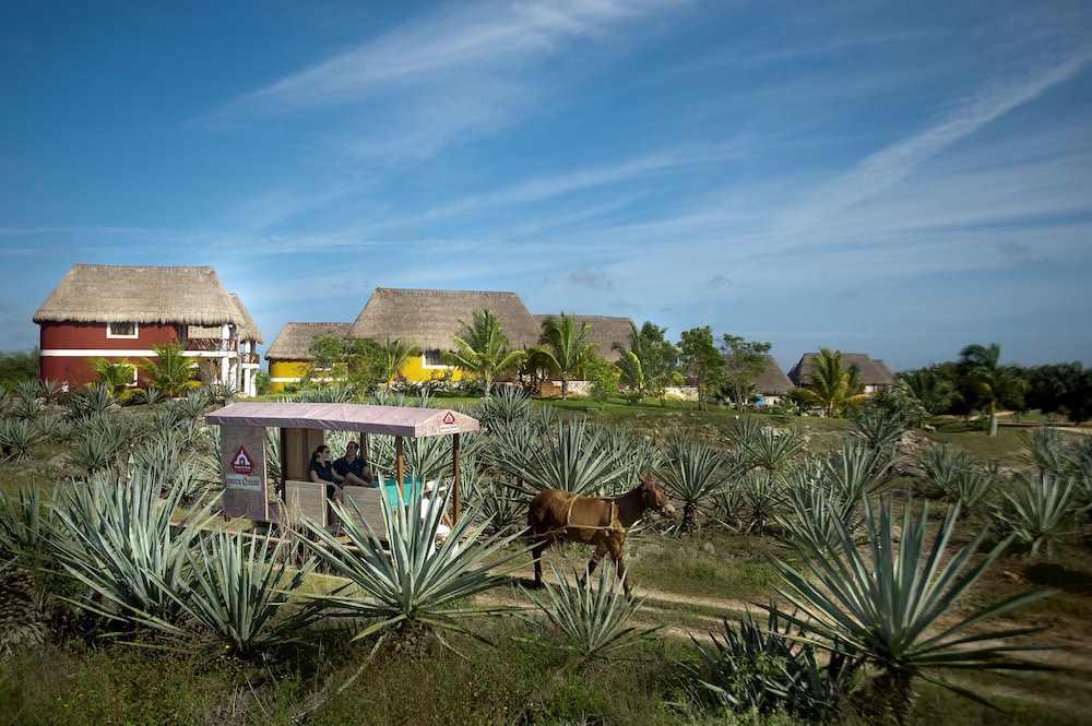Hacienda Viva Sotuta de Peon by Xperience Hotels 25/26