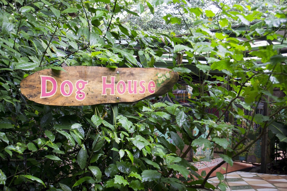 Lands in Love Hotel 47/50