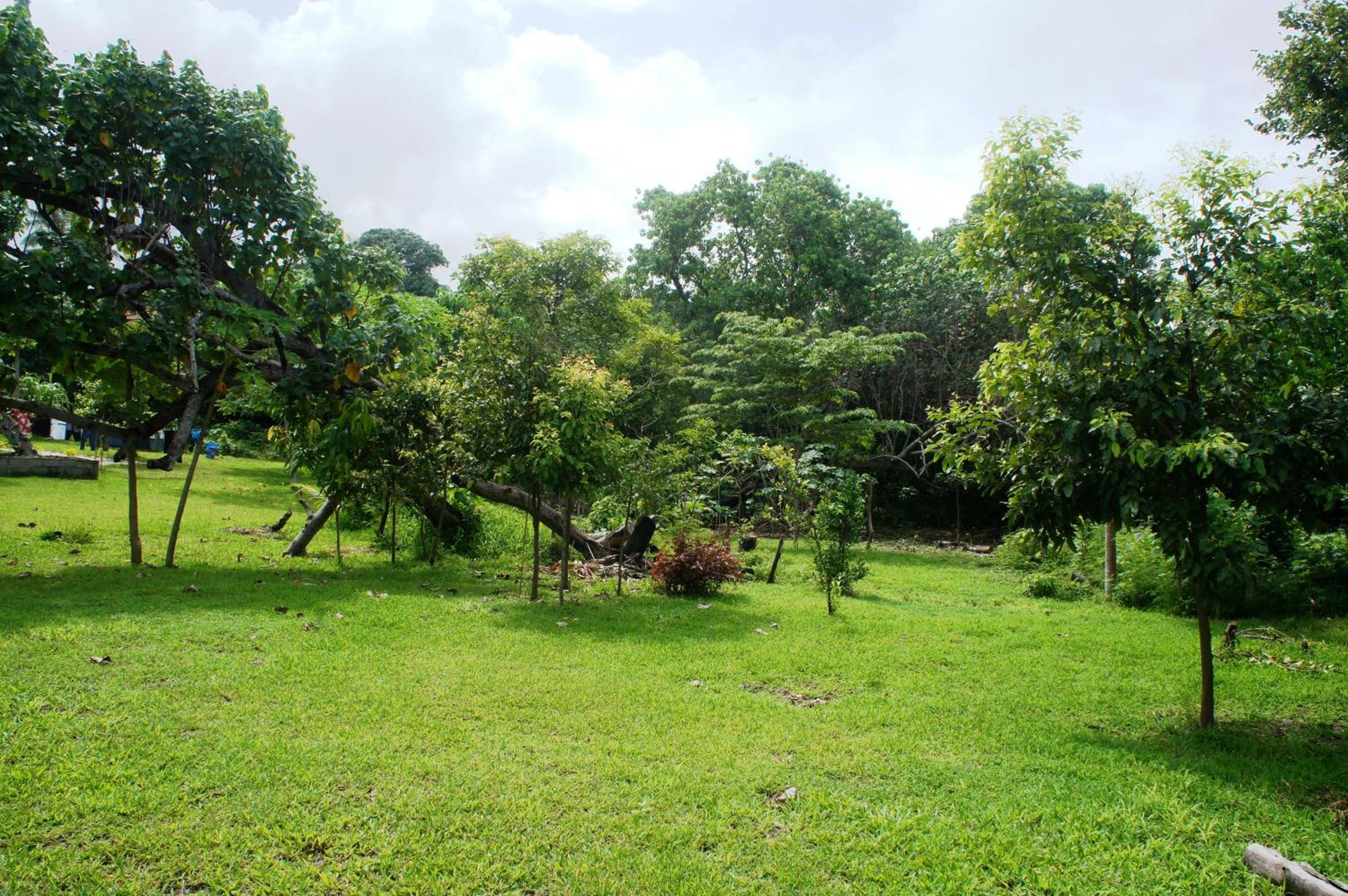 Alofa Beach Bungalows 21/22