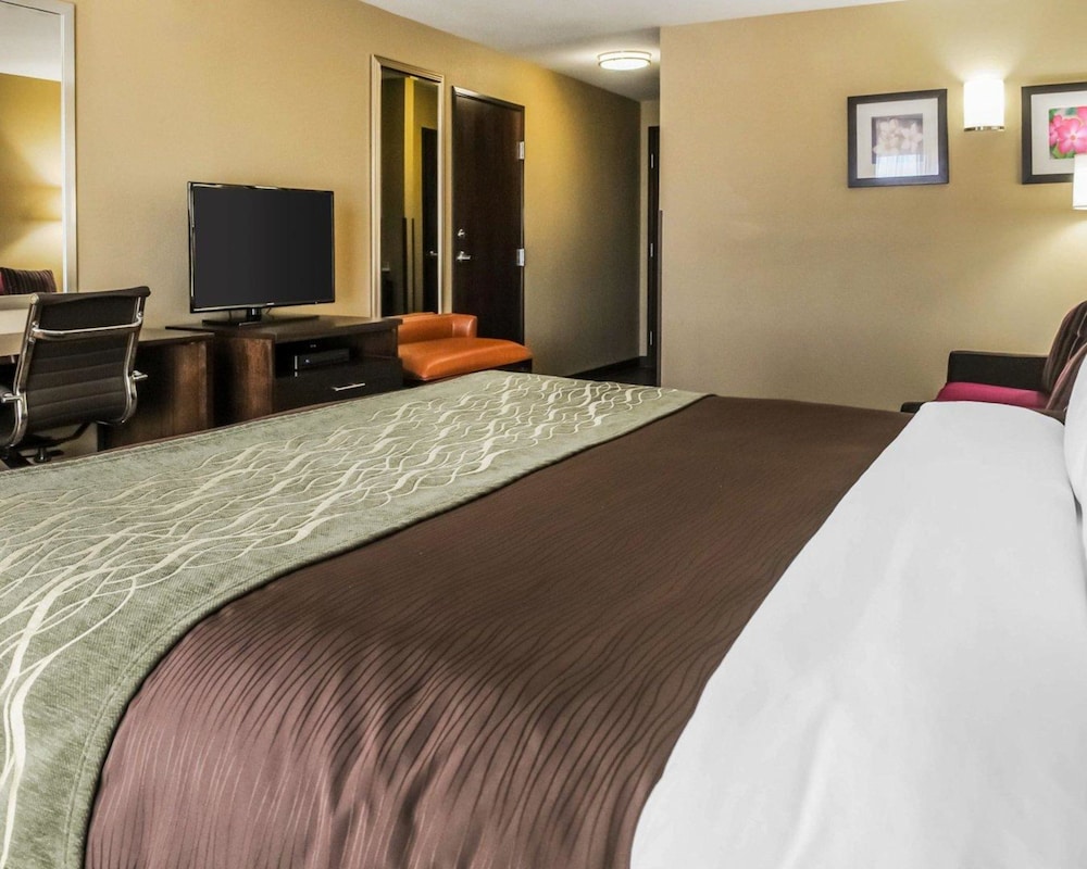 Comfort Inn & Suites Artesia, NM 16/40