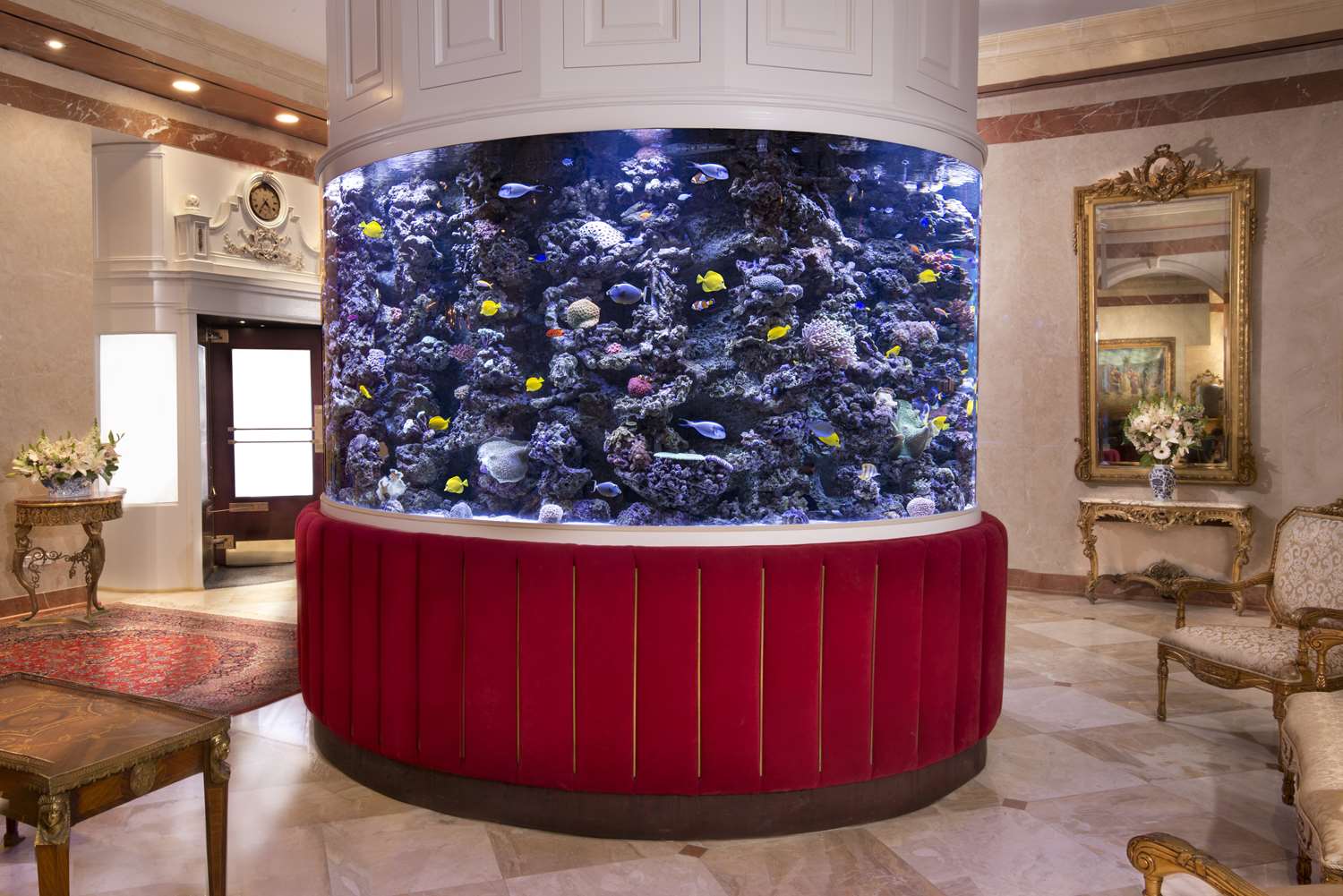 The Kimberly Hotel 3/21
