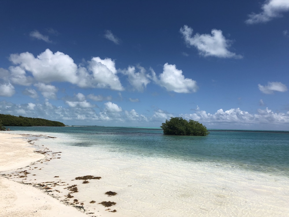 Shaka Caye 26/50