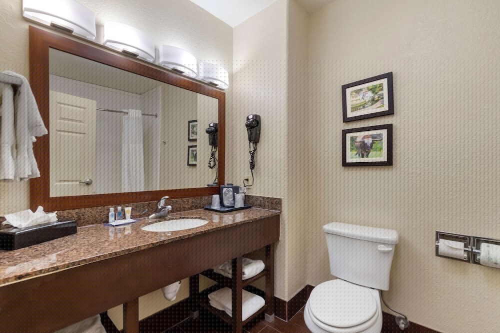 Comfort Inn & Suites Near Six Flags & Medical Center 19/36