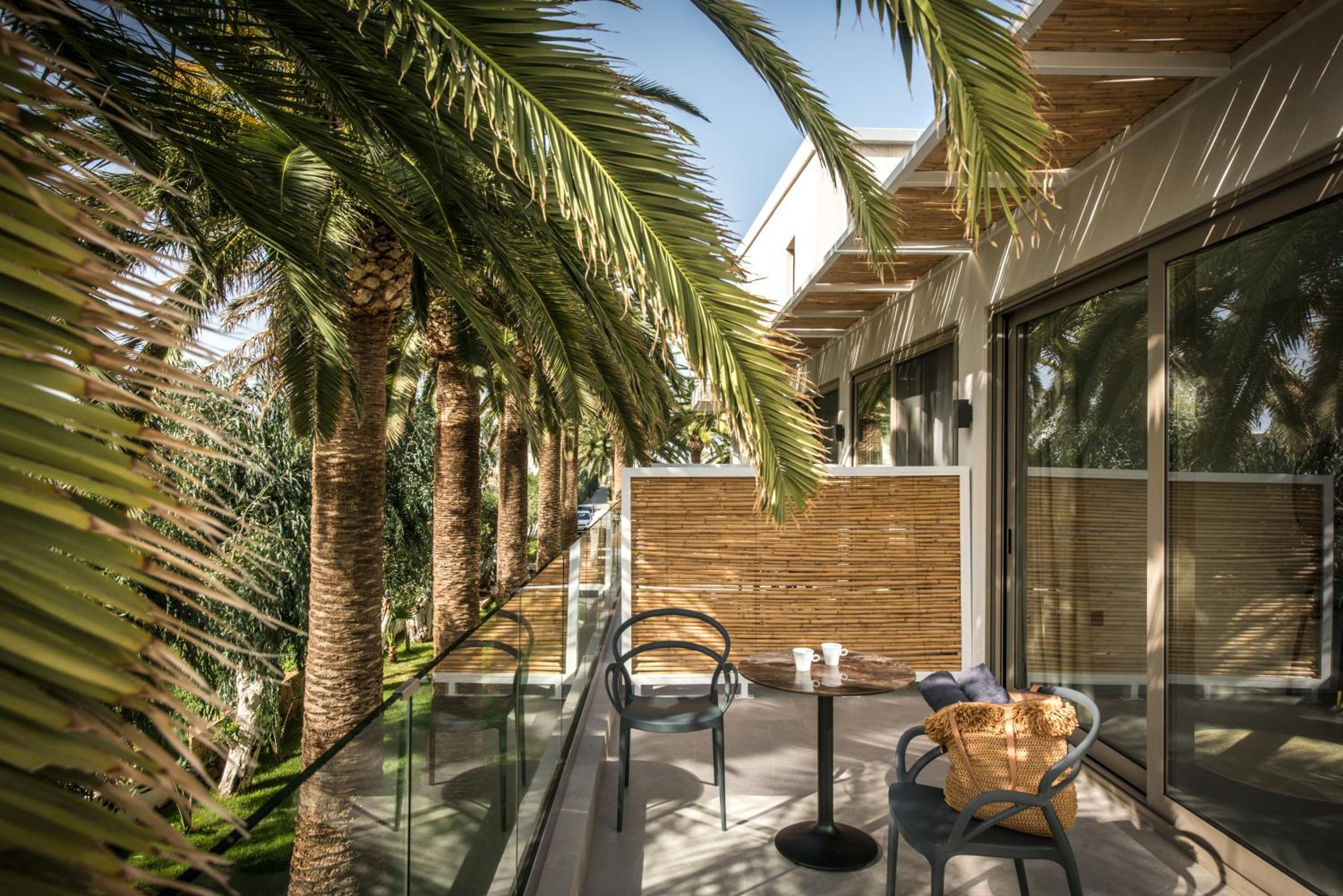 Drossia Palms Hotel - Studios 24/55
