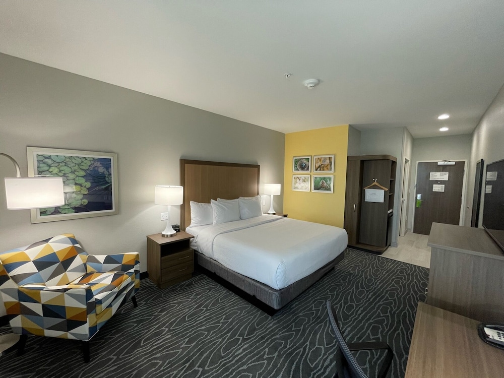 Room, King Bed