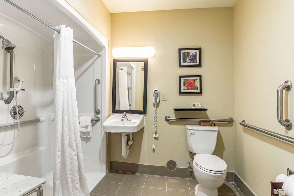 Comfort Inn Suites Tuscumbia Muscle Shoals 11/45
