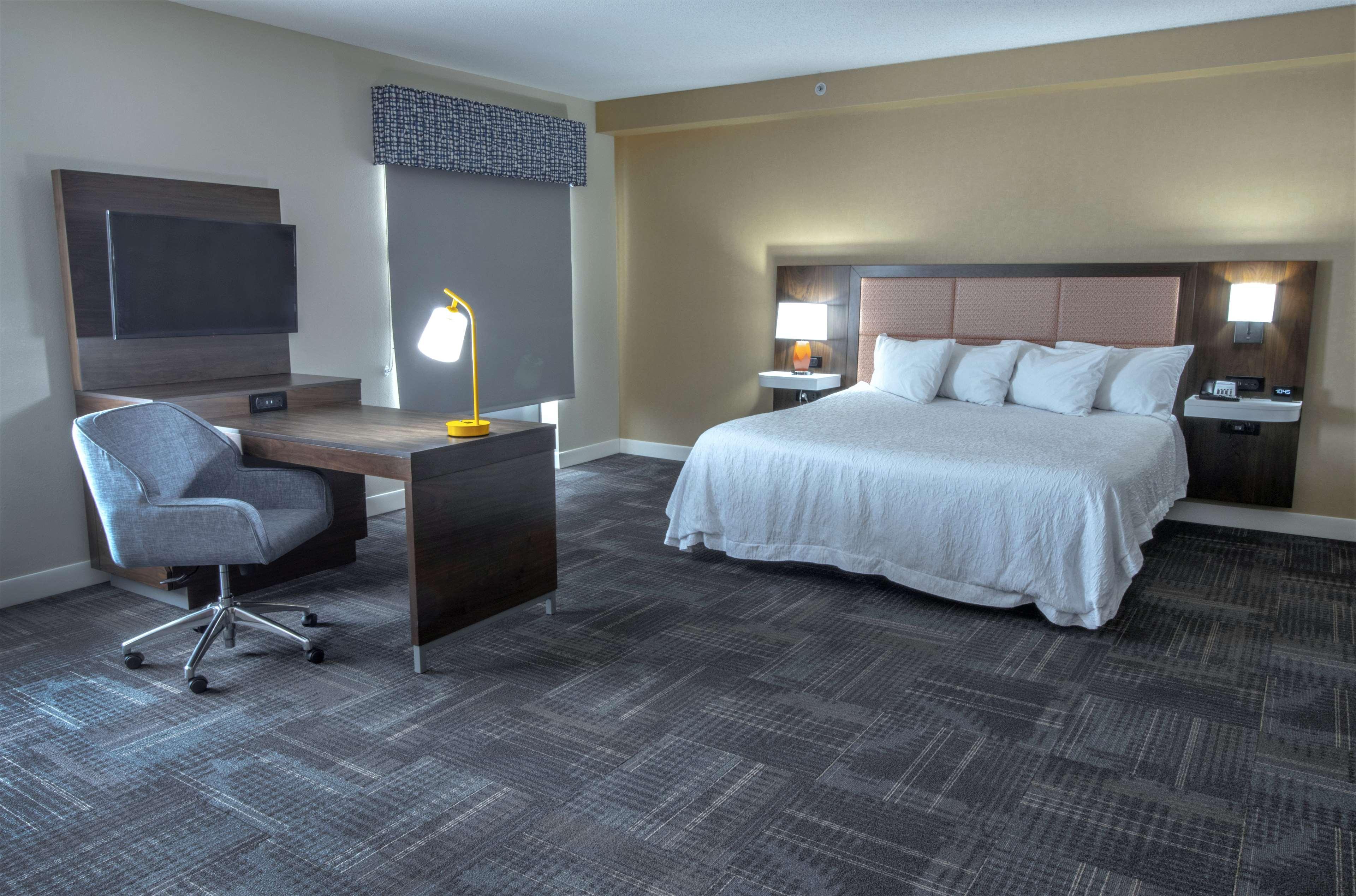 STUDIO, SUITE, KING BED, SOFA