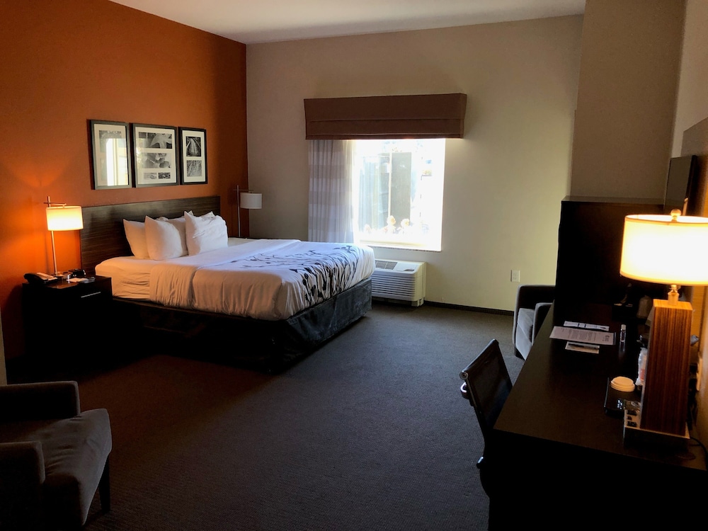 Sleep Inn Cartersville - Emerson Lake Point 15/46